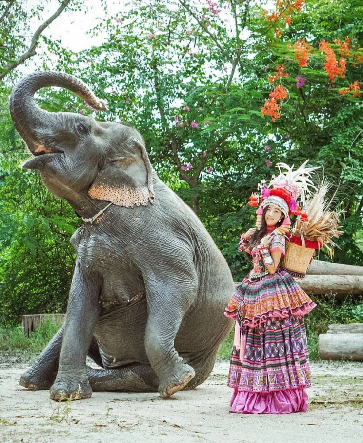 "ลูกปัด" ลั่นทิ้งช้างไม่ได้ ยอมขายที่ 35 ไร่ ต่อลมหายใจให้พนักงานและช้าง