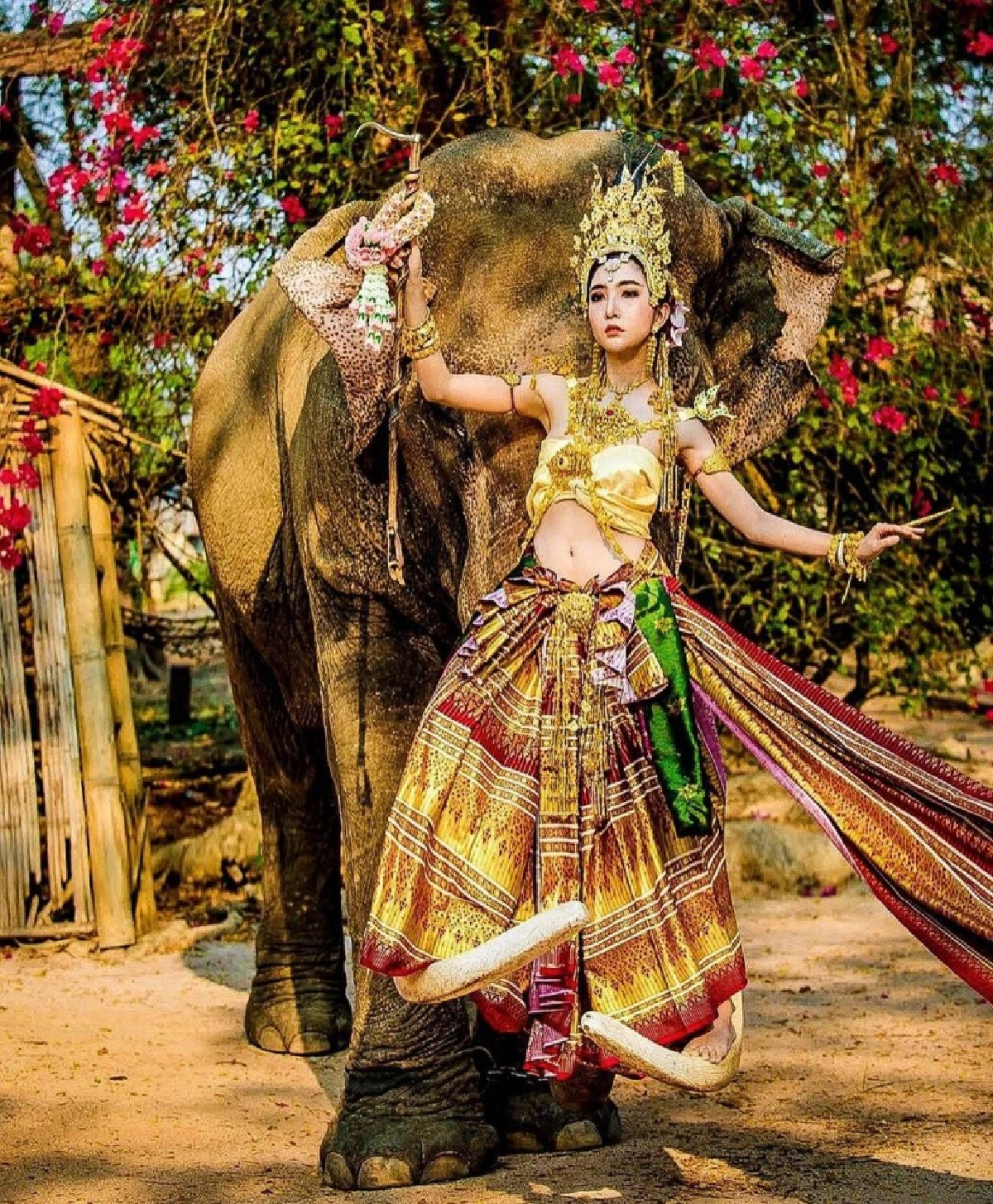 "ลูกปัด" ลั่นทิ้งช้างไม่ได้ ยอมขายที่ 35 ไร่ ต่อลมหายใจให้พนักงานและช้าง