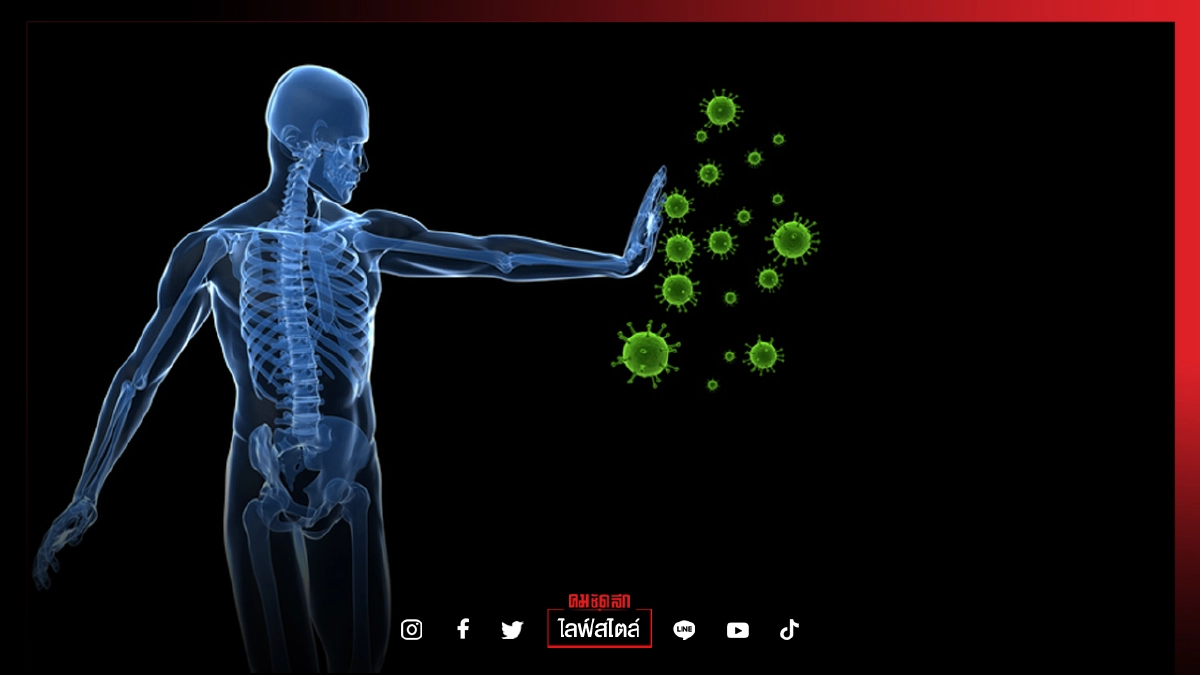 3 ภูมิคุ้มกันที่มีอยู่ แต่ไม่เคยรู้มาก่อน 