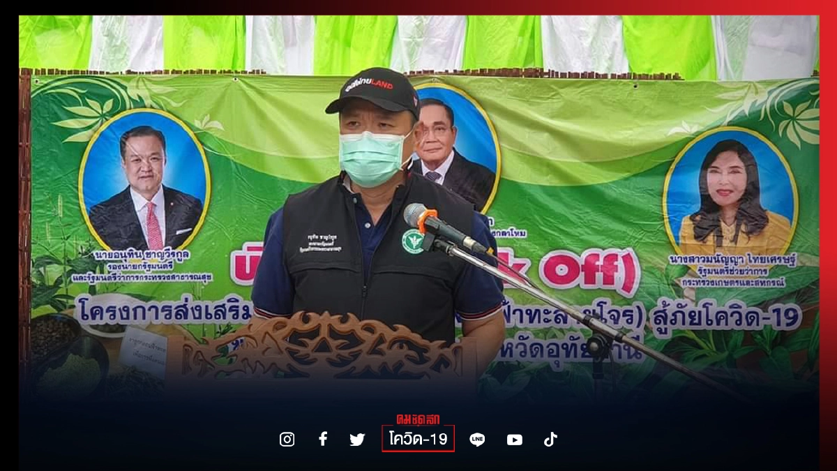 "อนุทิน" คิกออฟหนุน"เกษตรกร"ปลูก"ฟ้าทะลายโจร"ป้อนสาธารณสุข