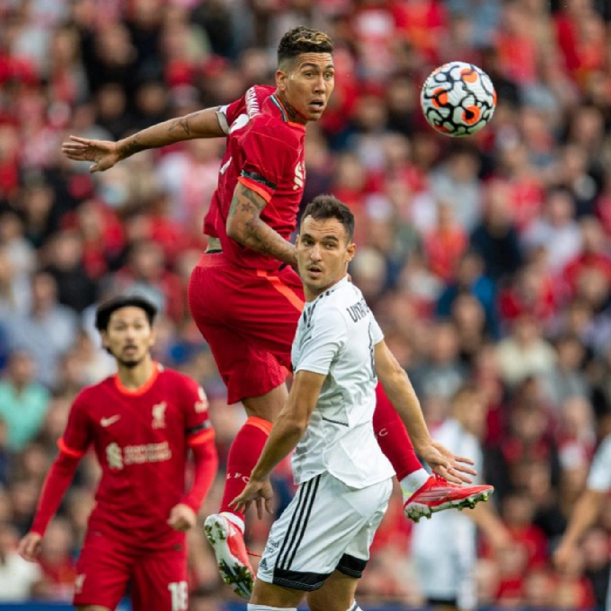 "ฟิร์มิโน่"เหมา หงส์ปิดอุ่นเครื่องเก็บชัย