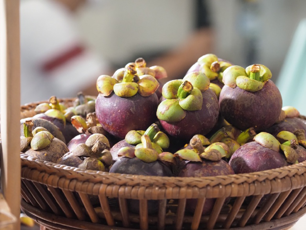 ไลฟ์สดขาย มังคุด 10 ตัน หมดใน 1 ชั่วโมง