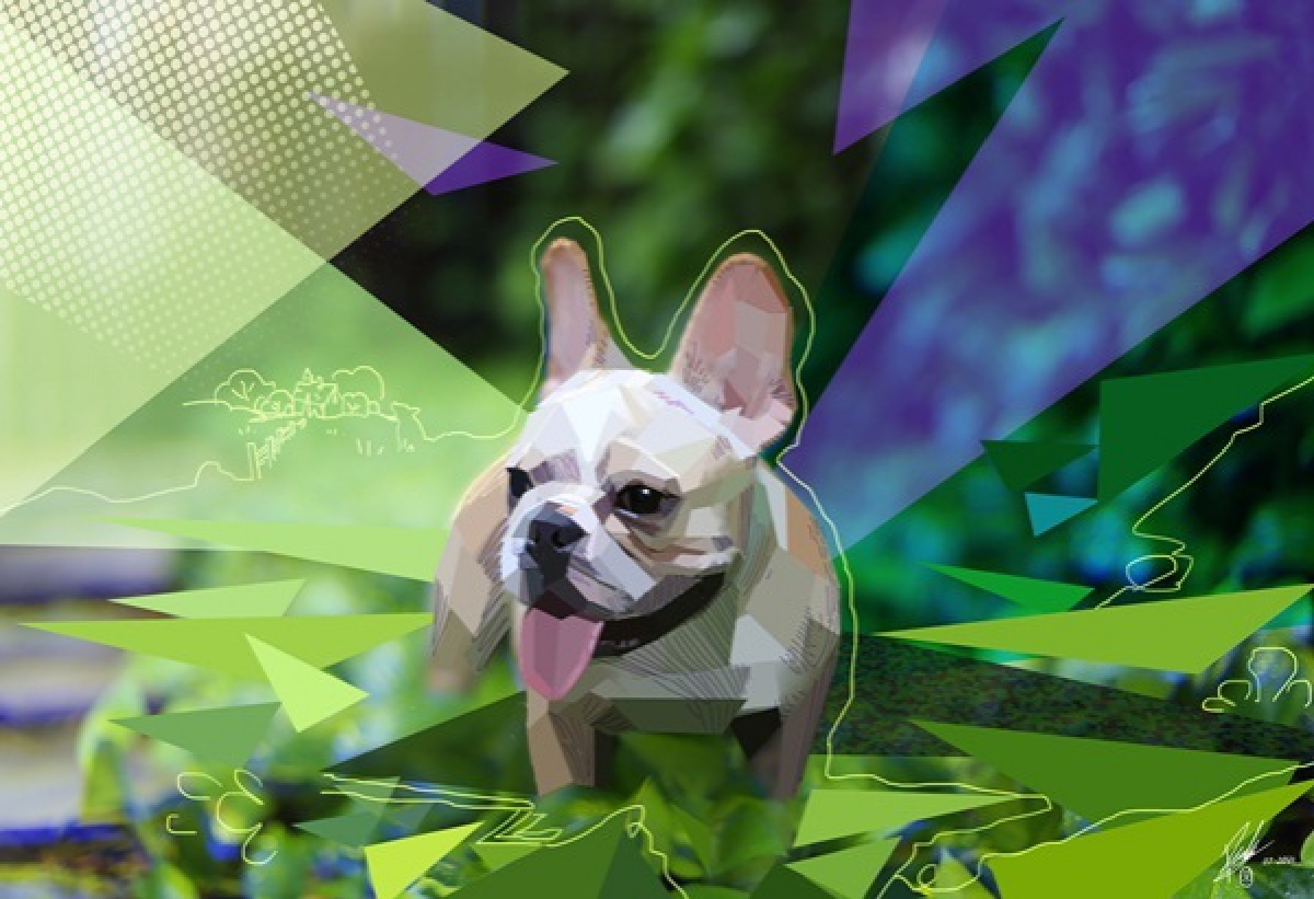 "กรณ์" นำเทรนด์สุดล้ำสร้าง"สินทรัพย์ดิจิตัล" ขายทั่วโลก ผุดโปรเจ็กต์" Mission Pawsible" ช่วย "น้องหมา "หลังเจอผลกระทบ"โควิด"