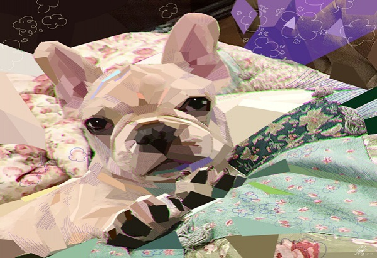 "กรณ์" นำเทรนด์สุดล้ำสร้าง"สินทรัพย์ดิจิตัล" ขายทั่วโลก ผุดโปรเจ็กต์" Mission Pawsible" ช่วย "น้องหมา "หลังเจอผลกระทบ"โควิด"