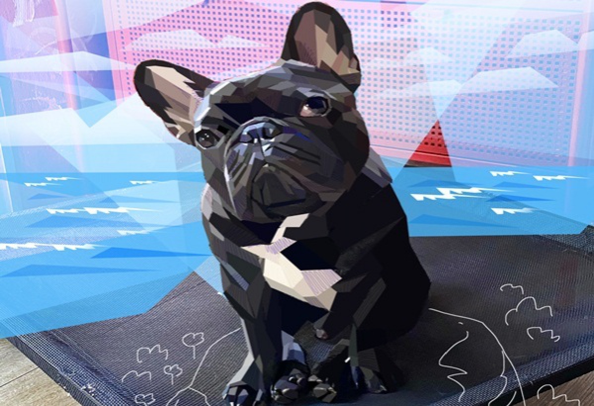 "กรณ์" นำเทรนด์สุดล้ำสร้าง"สินทรัพย์ดิจิตัล" ขายทั่วโลก ผุดโปรเจ็กต์" Mission Pawsible" ช่วย "น้องหมา "หลังเจอผลกระทบ"โควิด"