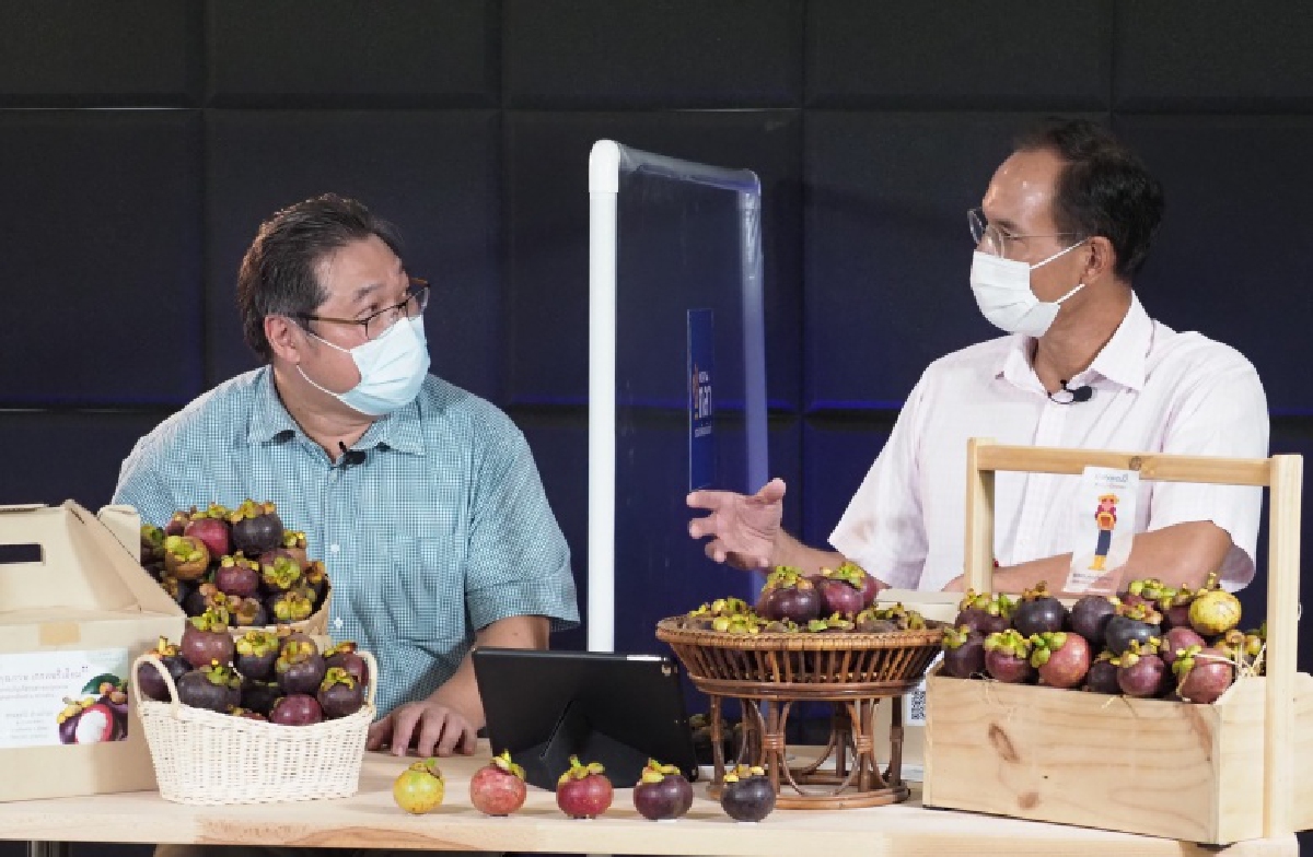 ไลฟ์สดขาย มังคุด 10 ตัน หมดใน 1 ชั่วโมง