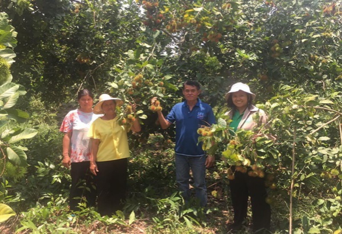  "นิคมเศรษฐกิจพอเพียง "ภายใต้โครงการขยายผล"ฟาร์มตัวอย่างฯ "อำเภอคำตากล้า 