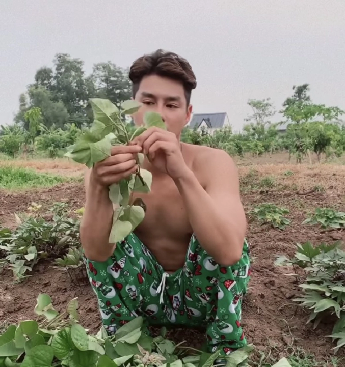 โฟกัสผิดจุด ชาวเน็ตแห่แซวกางเกง "เพ็ชร ฐกฤต" 