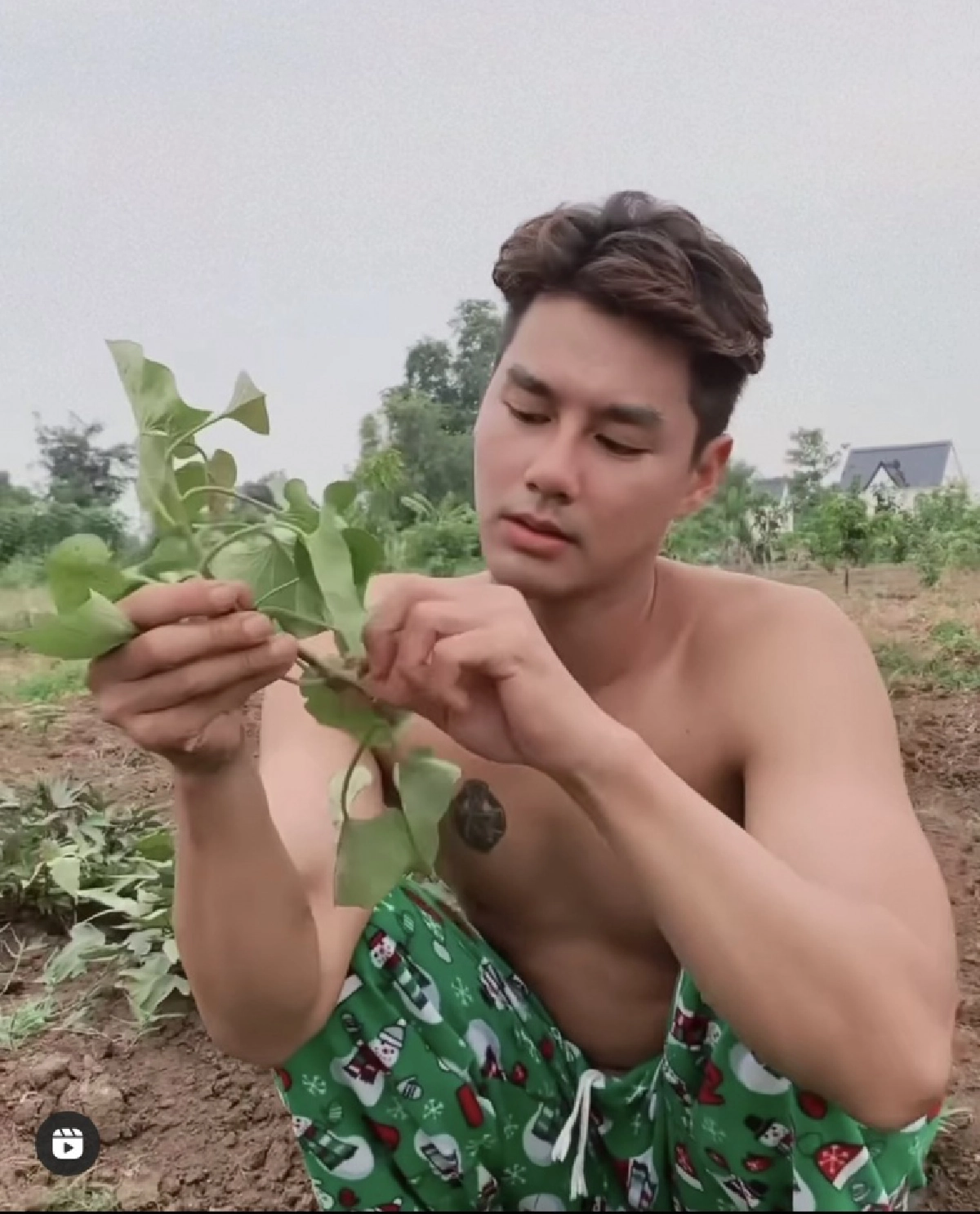 โฟกัสผิดจุด ชาวเน็ตแห่แซวกางเกง "เพ็ชร ฐกฤต" 