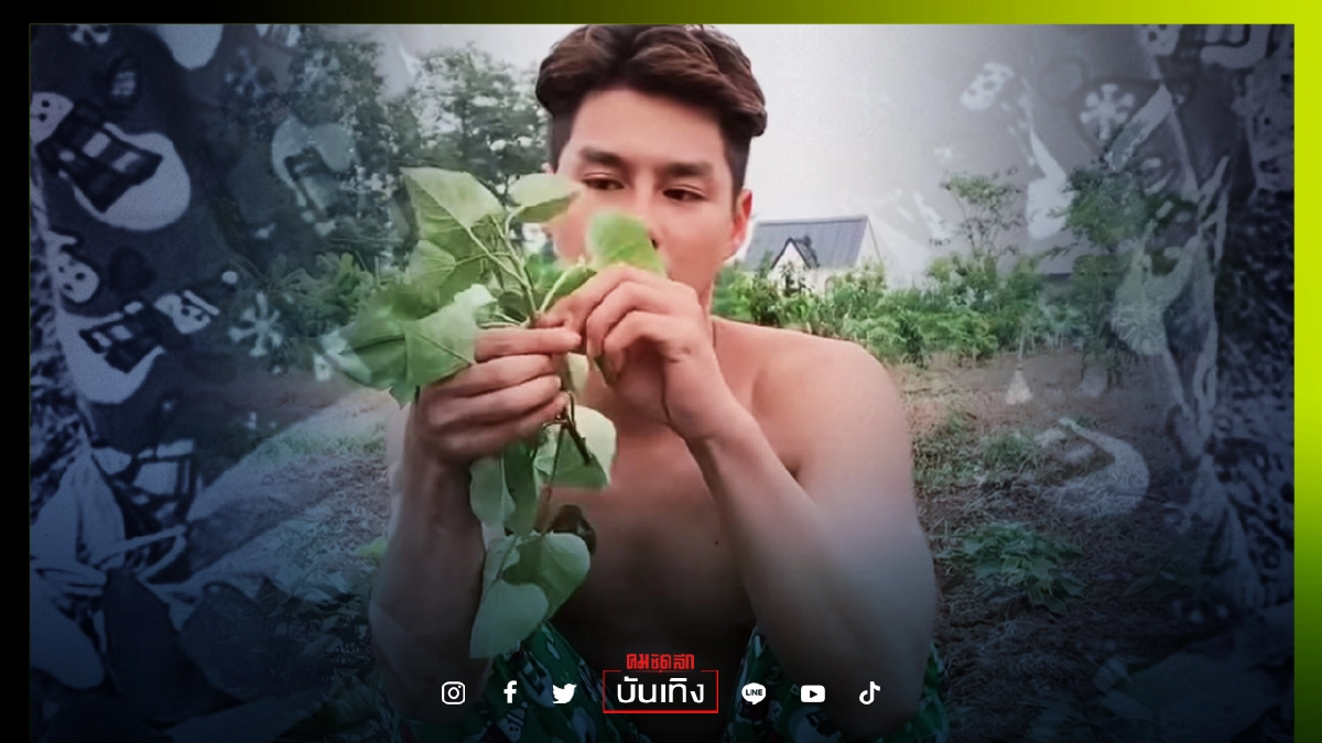โฟกัสผิดจุด ชาวเน็ตแห่แซวกางเกง "เพ็ชร ฐกฤต" โฟกัสผิดจุด ชาวเน็ตแห่แซวกางเกง "เพ็ชร ฐกฤต"