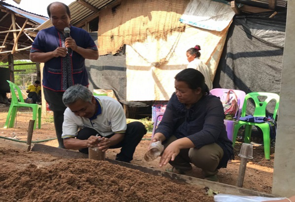  "นิคมเศรษฐกิจพอเพียง "ภายใต้โครงการขยายผล"ฟาร์มตัวอย่างฯ "อำเภอคำตากล้า 