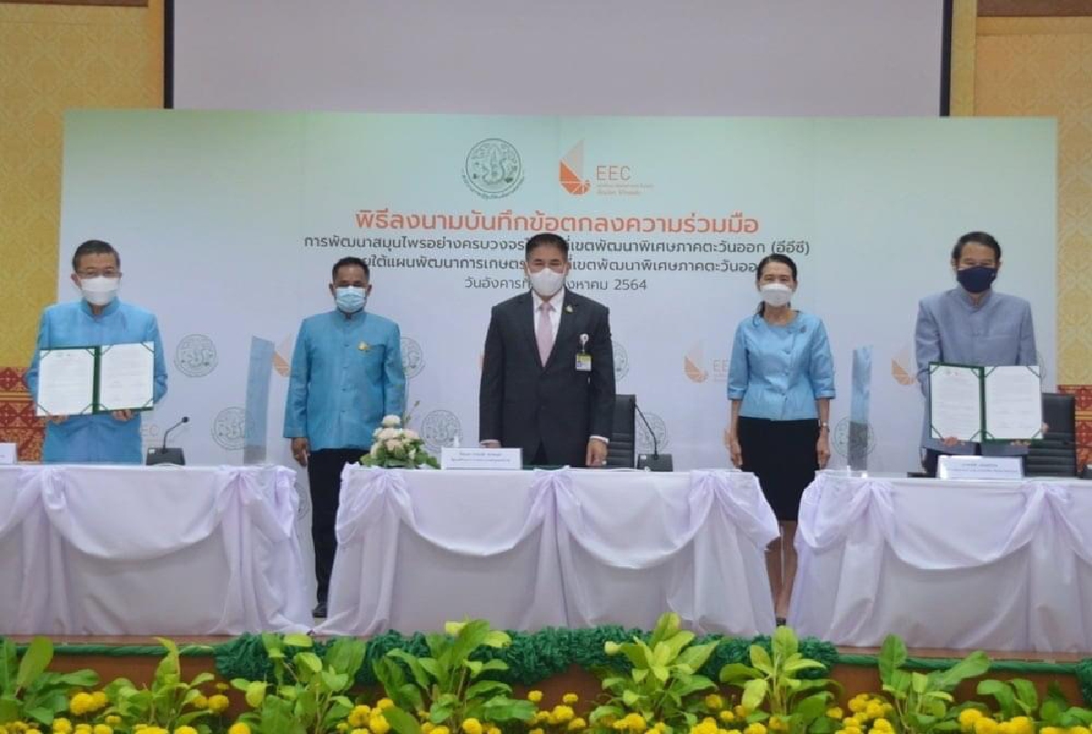 ส.ป.ก. จับมือ อีอีซี ร่วมพัฒนา"สมุนไพรไทย"ครบวงจร