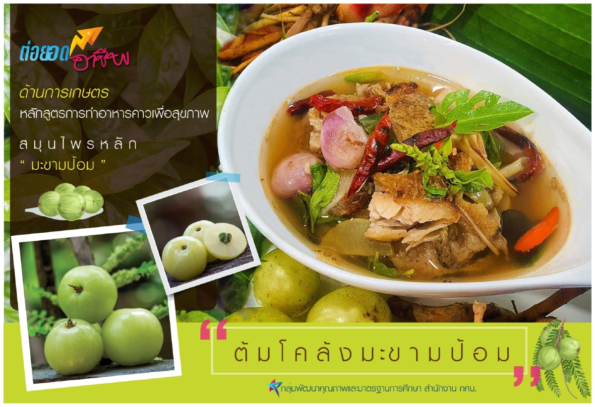 เรียนจบมีงานทำ "เลขาธิการ กศน." เปิดตัวหลักสูตรอาชีพ ตอบโจทย์คนว่างงาน