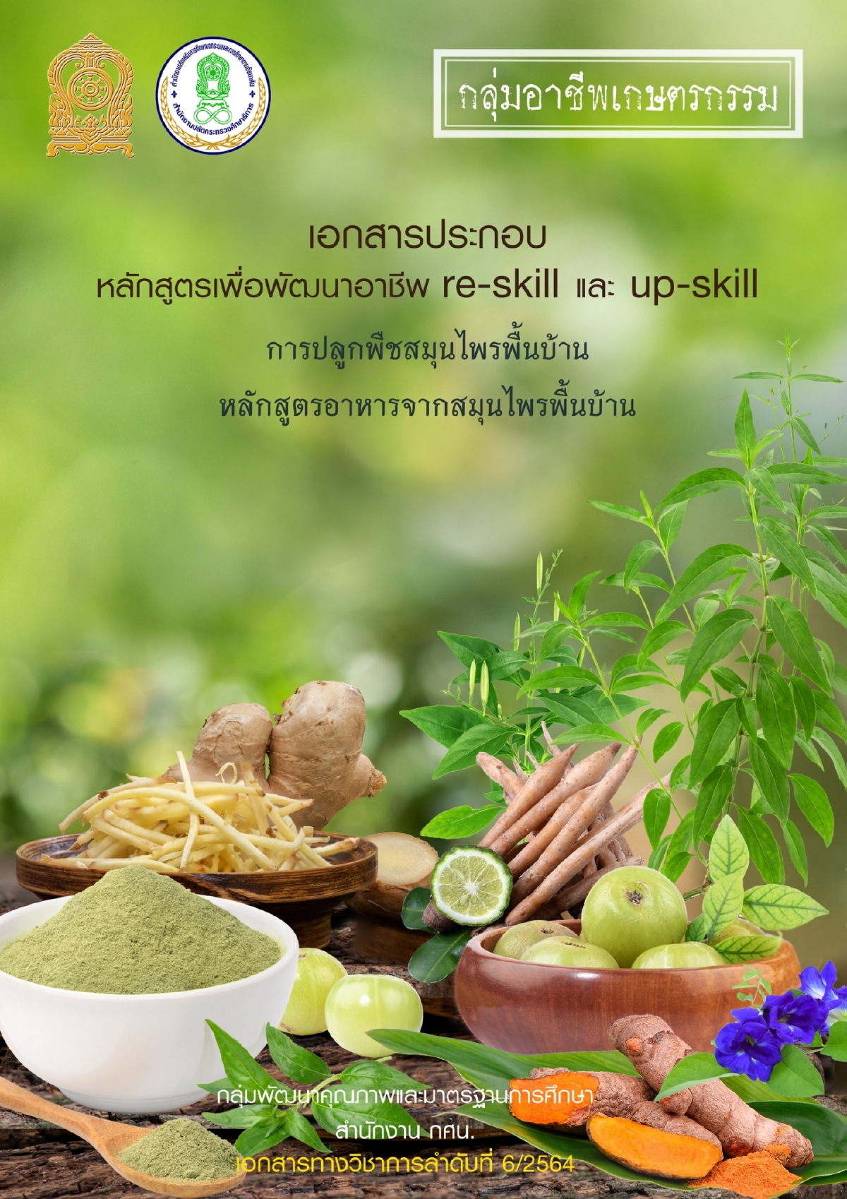 เรียนจบมีงานทำ "เลขาธิการ กศน." เปิดตัวหลักสูตรอาชีพ ตอบโจทย์คนว่างงาน