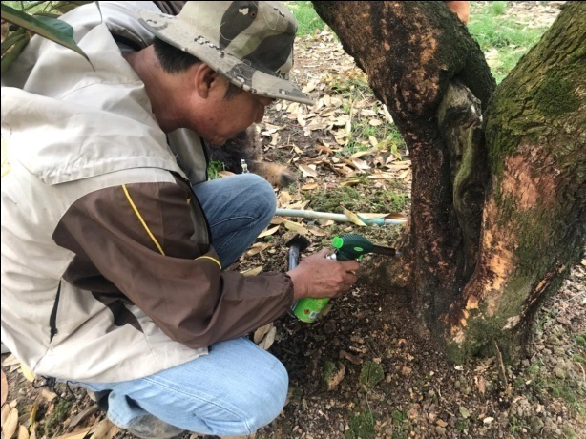 สสก. 3 รย. ชูผลงาน ศูนย์จัดการ"ศัตรูพืช"ชุมชน (ศจช.) ดีเด่น ระดับเขต ปี 2564