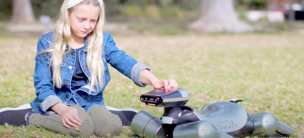 ทำความรู้จัก โคต้า "หุ่นยนต์น้องหมา" ที่สอนการบ้านลูกคุณได้