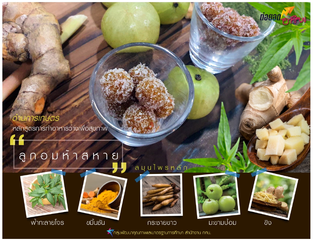 เรียนจบมีงานทำ "เลขาธิการ กศน." เปิดตัวหลักสูตรอาชีพ ตอบโจทย์คนว่างงาน