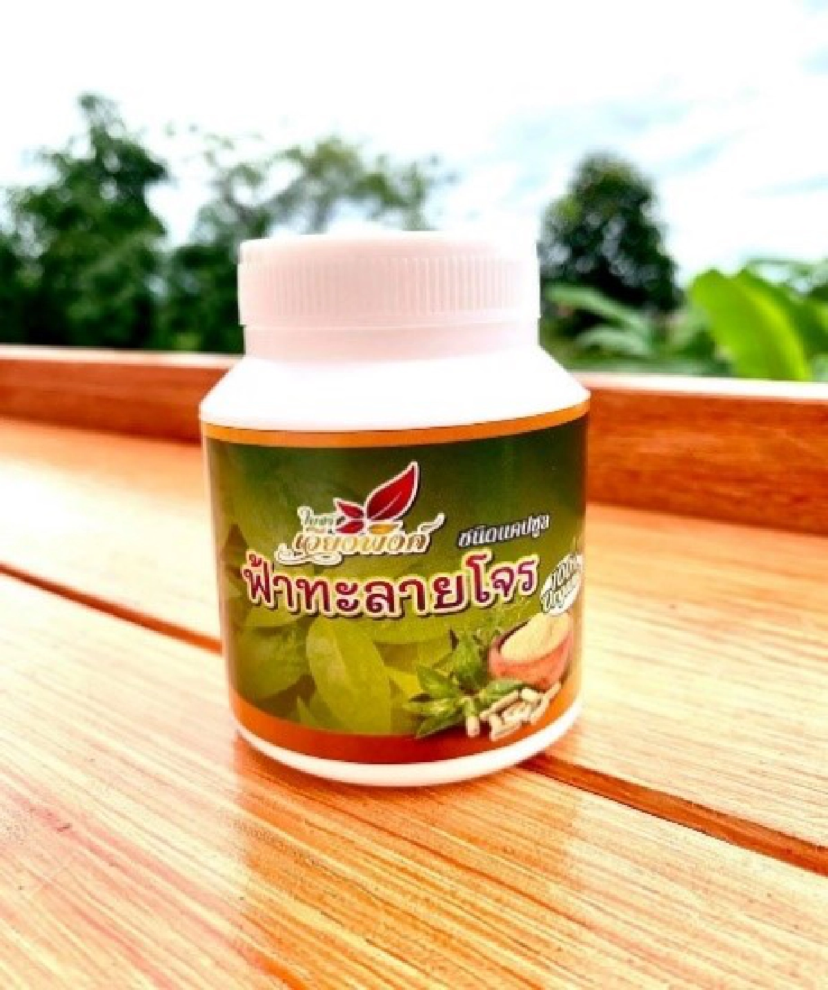 อย.เผยชื่อผลิตภัณฑ์ "ฟ้าทะลายโจร" ผิดกฎหมายอีก 11 รายการ เช็กเลยมีภาพครบจบ