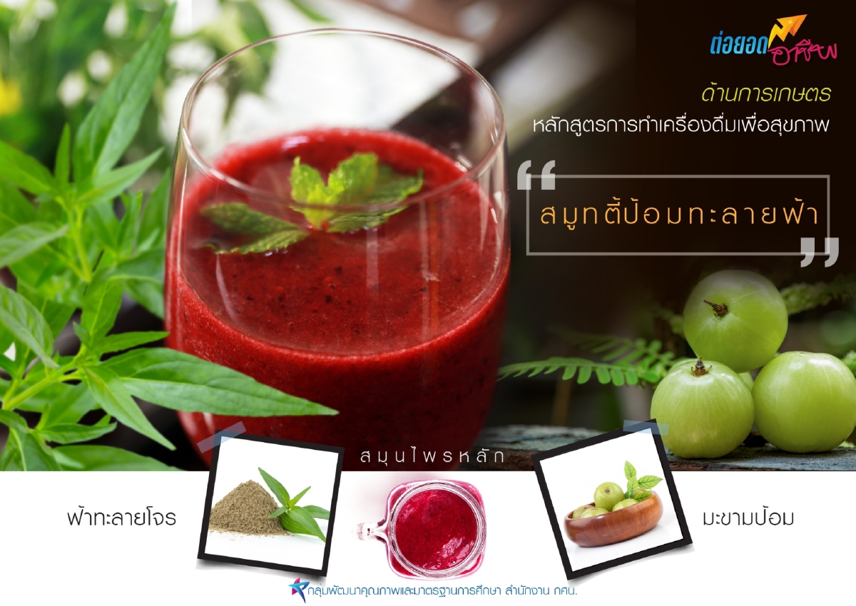 เรียนจบมีงานทำ "เลขาธิการ กศน." เปิดตัวหลักสูตรอาชีพ ตอบโจทย์คนว่างงาน