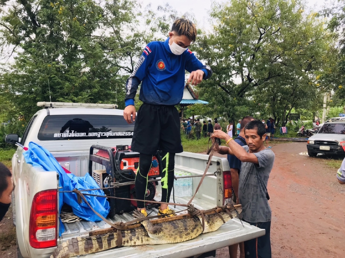 โควิดเป็นเหตุ 