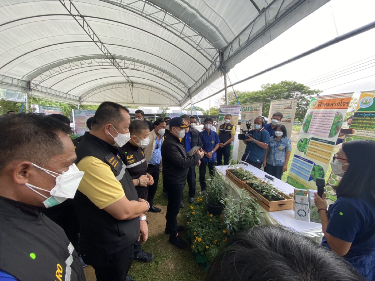 “ธรรมนัส” แจกฟรี  ฟ้าทะลายโจร 1 ล้านต้นให้เกษตรกร