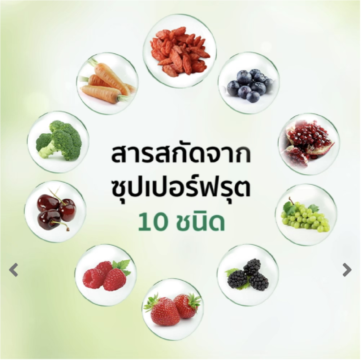 สารอาหารสำคัญใน Vita Daily