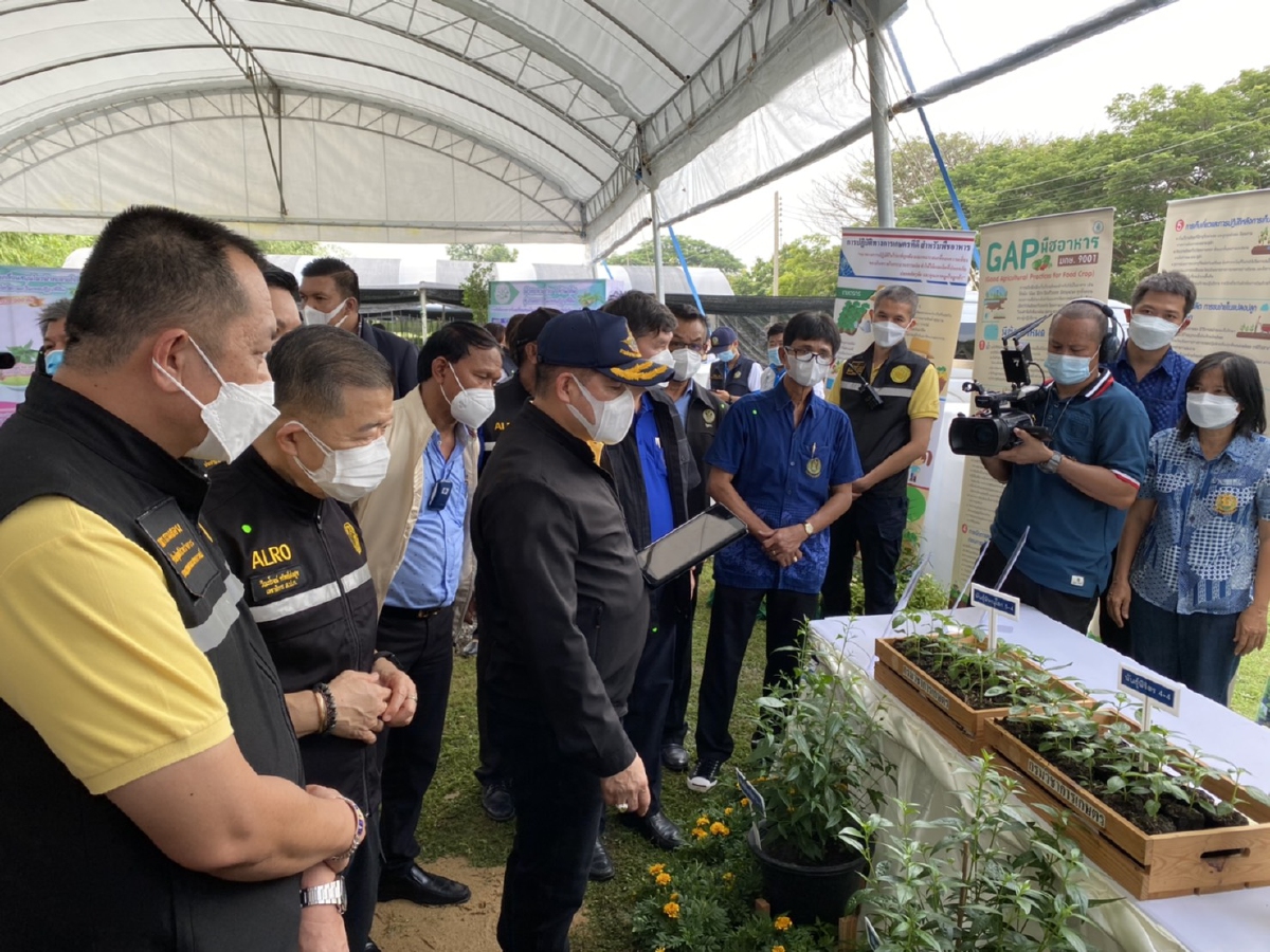 “ธรรมนัส” แจกฟรี  ฟ้าทะลายโจร 1 ล้านต้นให้เกษตรกร