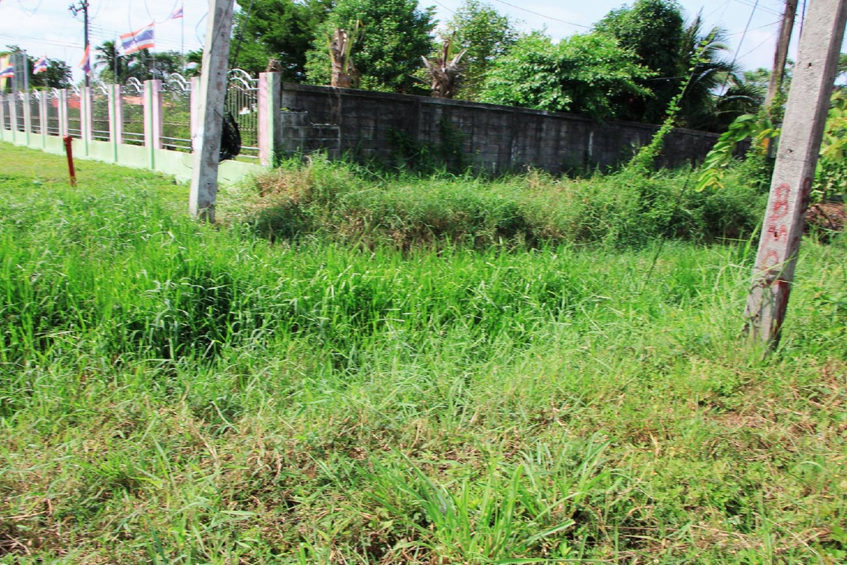 "นิพนธ์" ลงพื้นที่เมืองสงขลา วางแผนรับมือน้ำท่วม