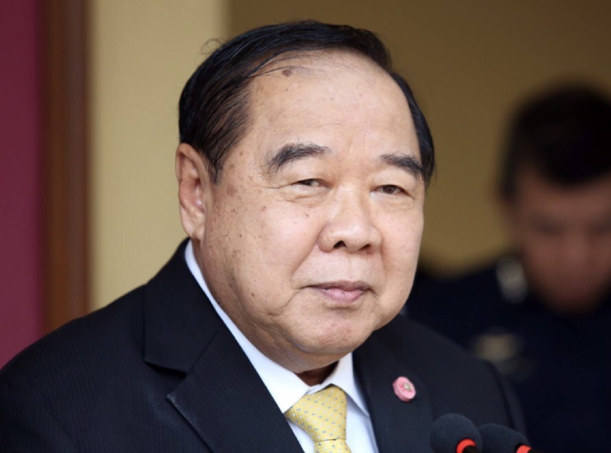 พล.อ.ประวิตร หัวหน้าพรรคพลังประชารัฐ