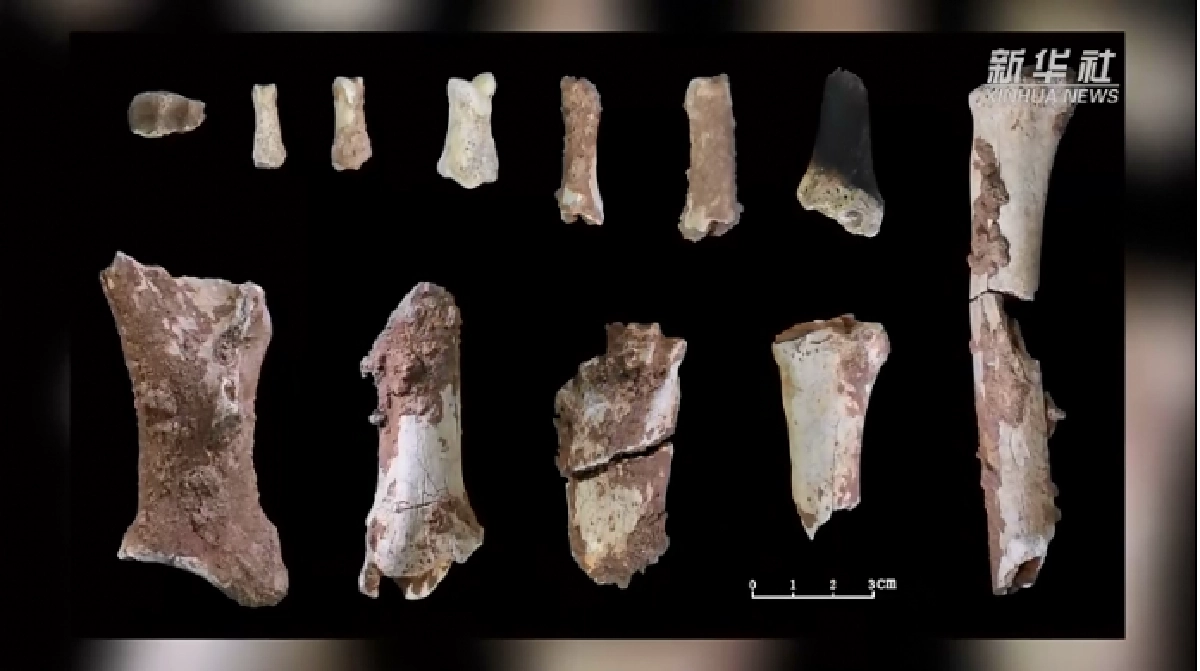 พบ "ฟอสซิล" กะโหลกศีรษะมนุษย์นาน 3 หมื่นกว่าปี ที่ประเทศจีน