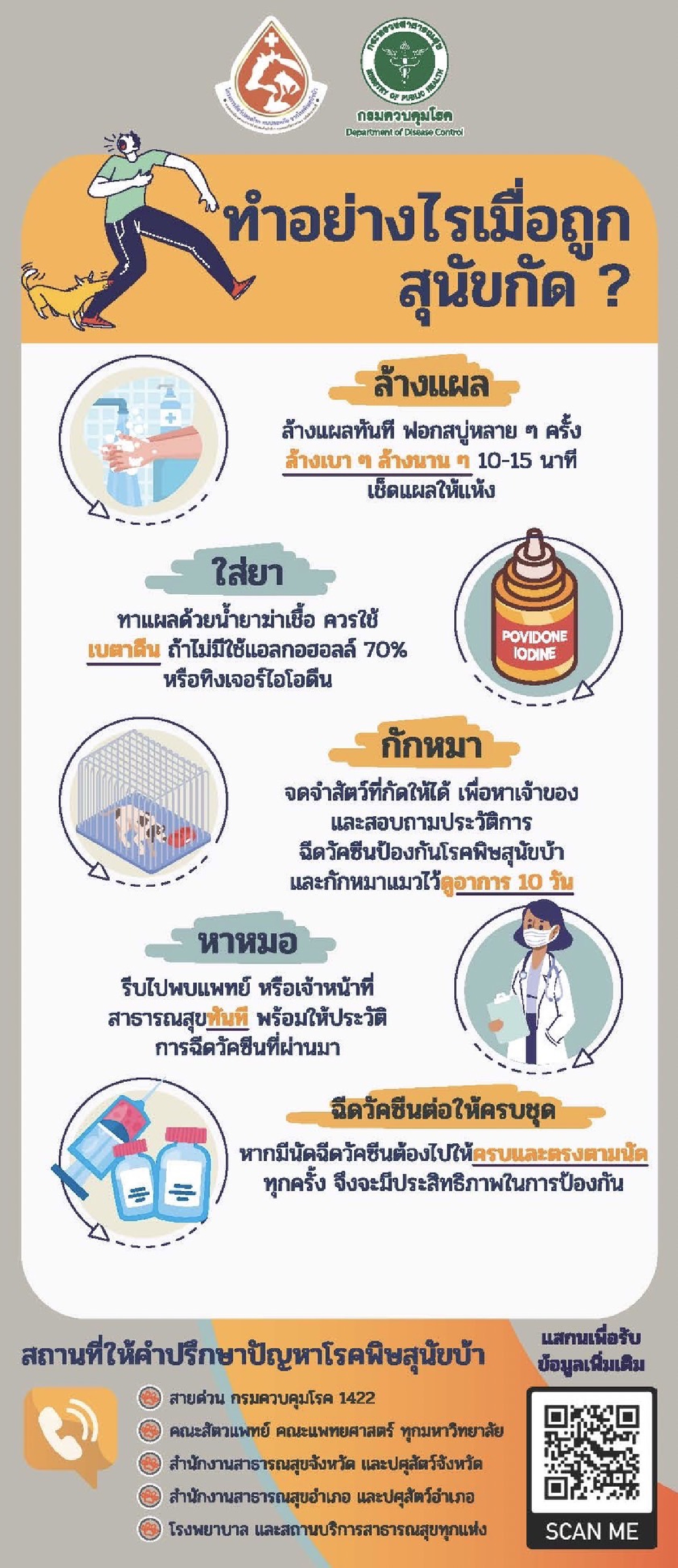 เปิดสูตรเด็ด 3 ป.กำจัด "โรคพิษสุนัขบ้า" ตั้งเป้าปลอดโรคในอีก 4 ปี