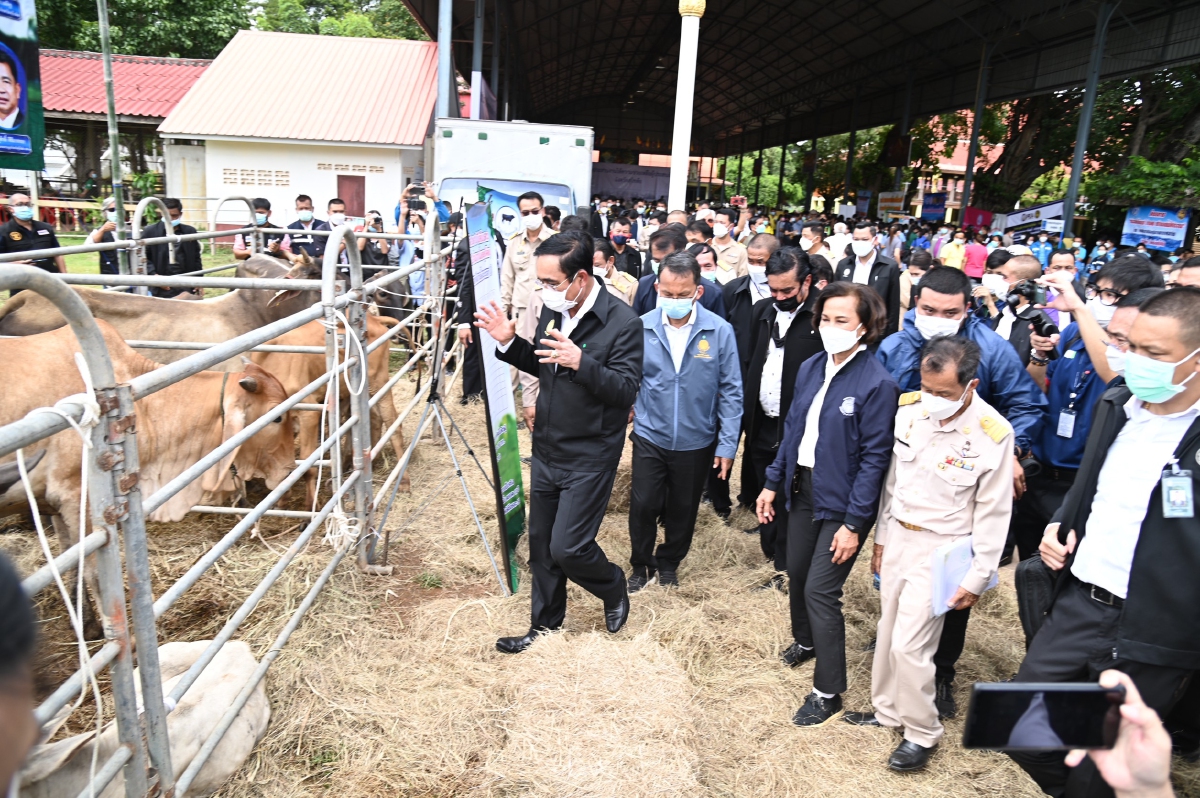 ร่วม 30  “ส.ส. พปชร.” แห่รับ นายกฯลุงตู่ ลงพื้นที่น้ำท่วม สุโขทัย