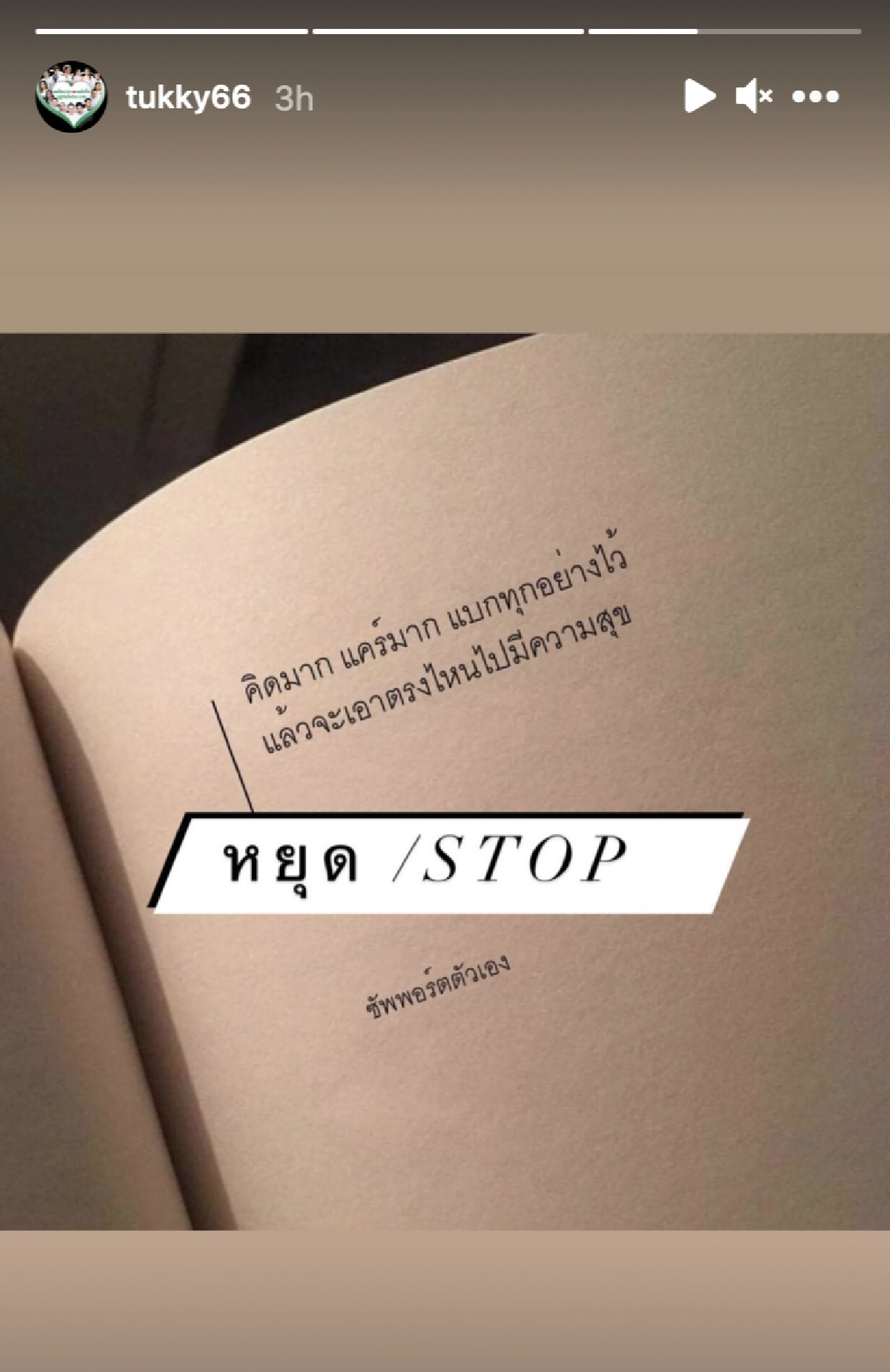 ตุ๊กกี้ สุดารัตน์