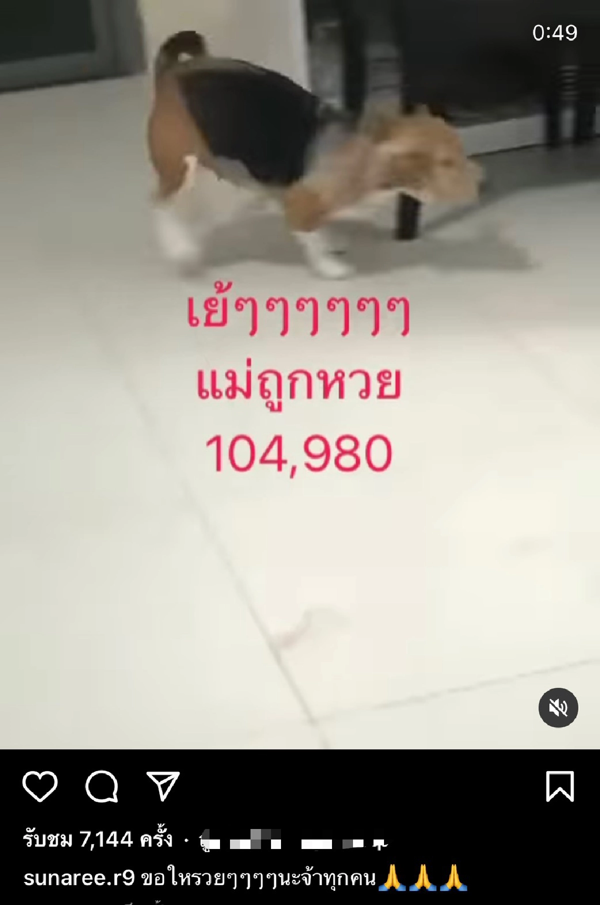 น้องหมาคึกคัก “สุนารี” โพสต์คลิปอวดเลขเด็ด ขอให้ทุกคนรวย