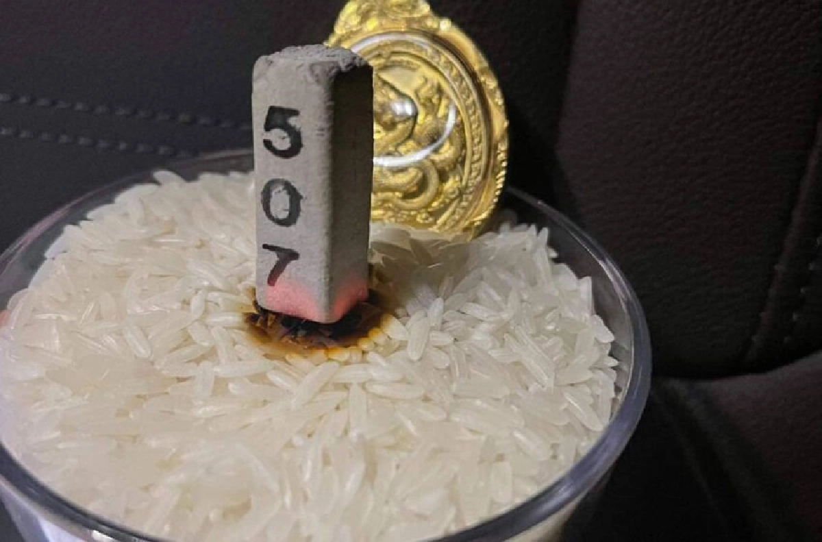 "เลขเด็ด 1/11/64" แม่น้ำหนึ่ง-เจ๊ฟองเบียร์-เจ๊นุ๊ก มัดรวมมาให้แล้ว