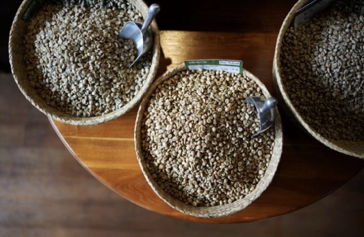 งานแฟร์สำหรับคนรักกาแฟ อัพเดตวัฒนธรรม"กาแฟ"ยุคโควิด-19