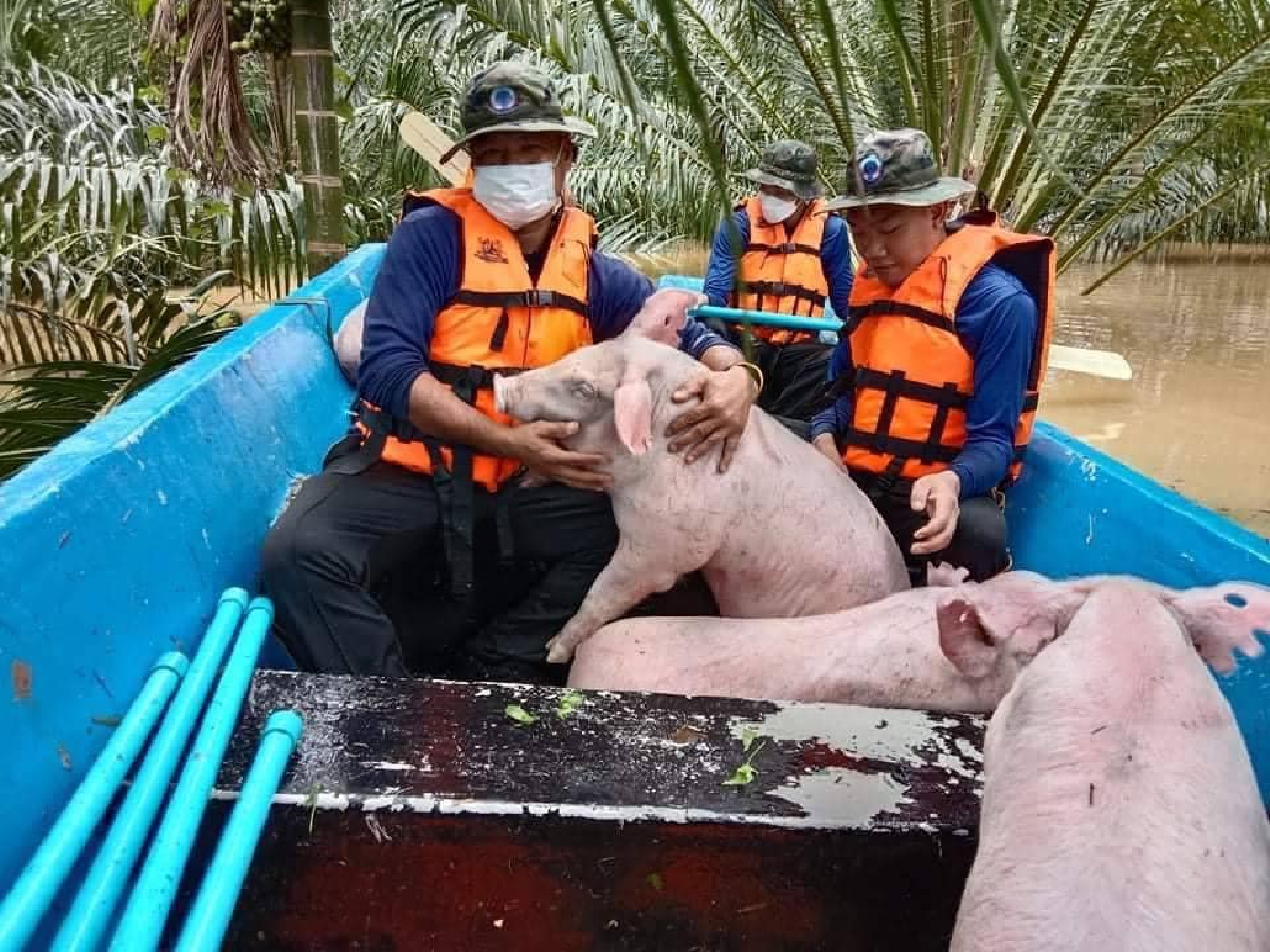 สั่งจับตา "พายุหมาเหล่า" เฝ้าระวังน้ำทะเลหนุนสูง