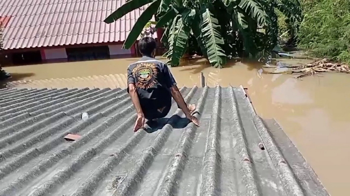 บ้าน "น้ำท่วม" เร่ง จนท.ช่วยแมว 11 ชีวิต ให้ปลอดภัย ข้าวของอื่นค่อยขนทีหลัง