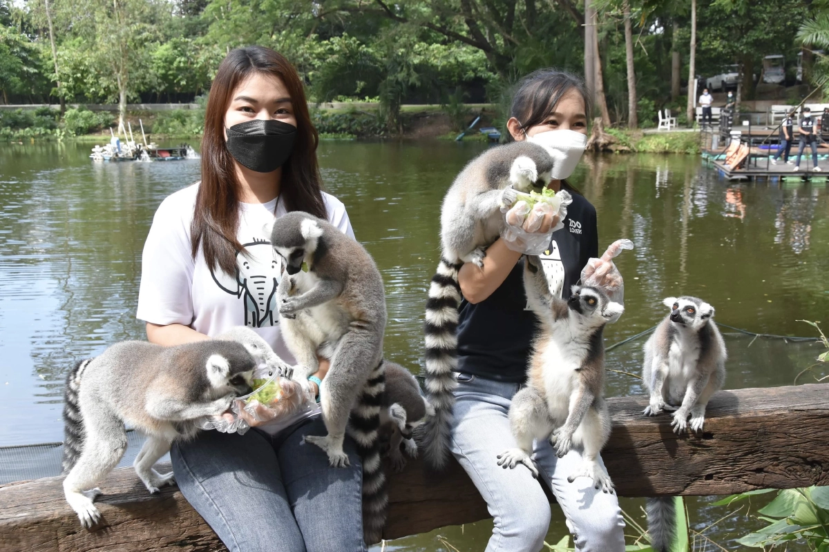 "ทัวร์เที่ยวไทย" ลีเมอร์ รีเทิร์น ใครชอบถ่ายรูปแวะมาเที่ยวกันได้