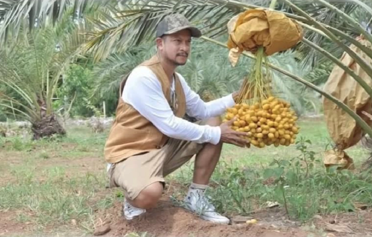 "แช่ม แช่มรัมย์" โอดโควิดส่งผลกระทบงานเพลง ต้องปรับตัวเพื่อความอยู่รอด