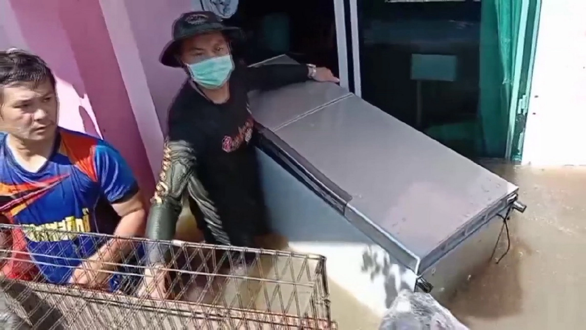 บ้าน "น้ำท่วม" เร่ง จนท.ช่วยแมว 11 ชีวิต ให้ปลอดภัย ข้าวของอื่นค่อยขนทีหลัง