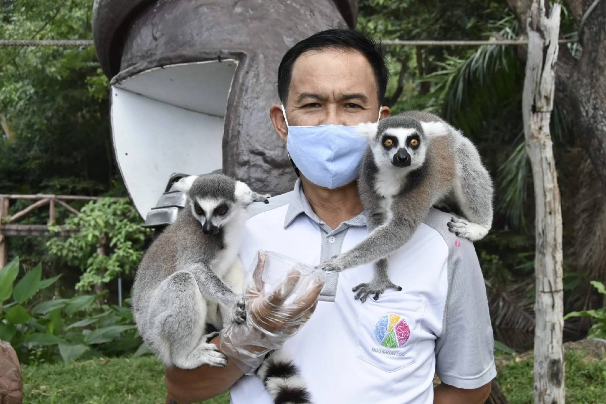 "ทัวร์เที่ยวไทย" ลีเมอร์ รีเทิร์น ใครชอบถ่ายรูปแวะมาเที่ยวกันได้