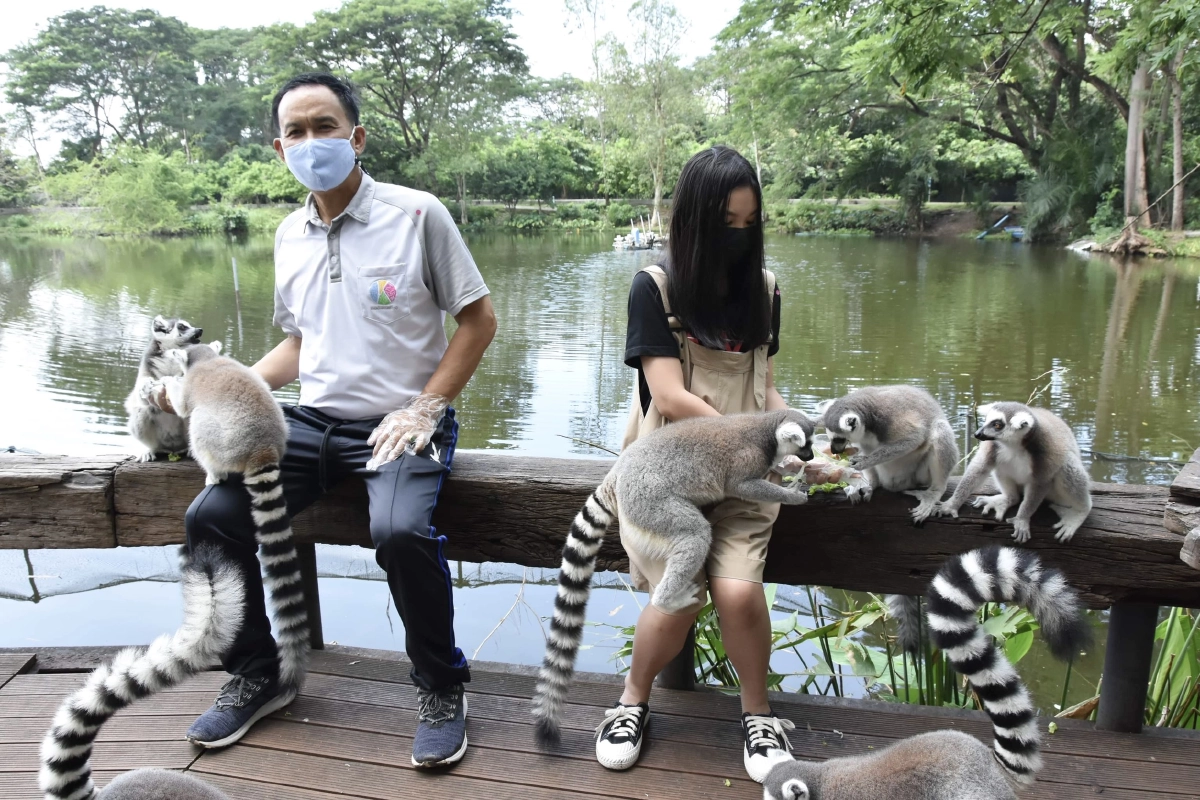 "ทัวร์เที่ยวไทย" ลีเมอร์ รีเทิร์น ใครชอบถ่ายรูปแวะมาเที่ยวกันได้