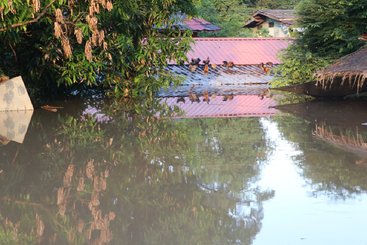 ชาวบ้าน ตำบลจรเข้ร้อง จังหวัดอ่างทอง หนี 