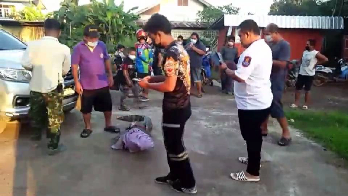 "เลขเด็ดงวดนี้ 1/11/64" จระเข้แวะมาเคาะบ้าน โชคดีช่วยกันจับไว้ได้(มีคลิป)