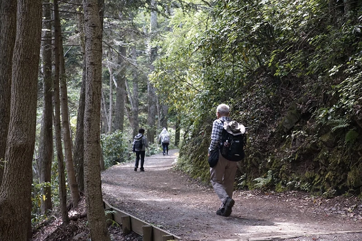 ถ้า "เดินป่า" เราจะได้ออกกำลังกาย แต่ถ้า "อาบป่า" เราจะได้กำลังใจ