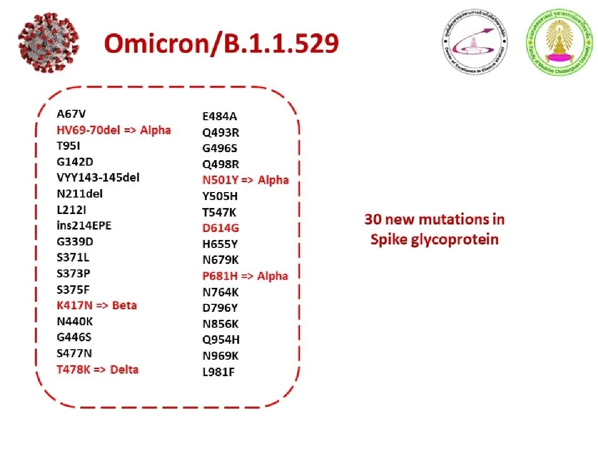 "โอไมครอน" หมอยงระบุแพร่กระจายเร็วแต่ยังไม่ชัดติดแล้วรุนแรงหรือไม่