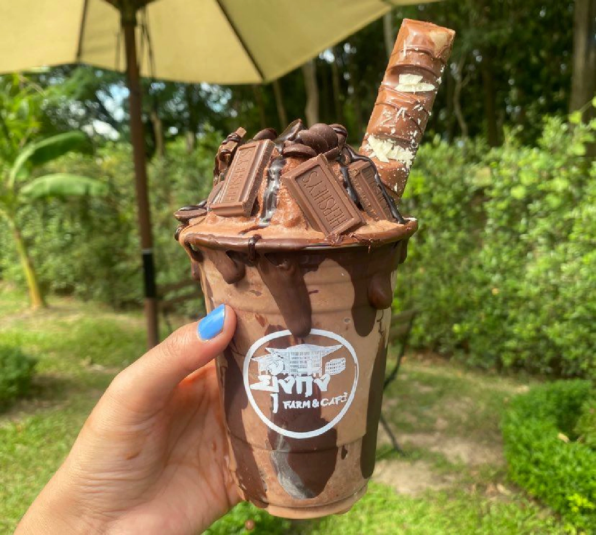 Extream Chocolate