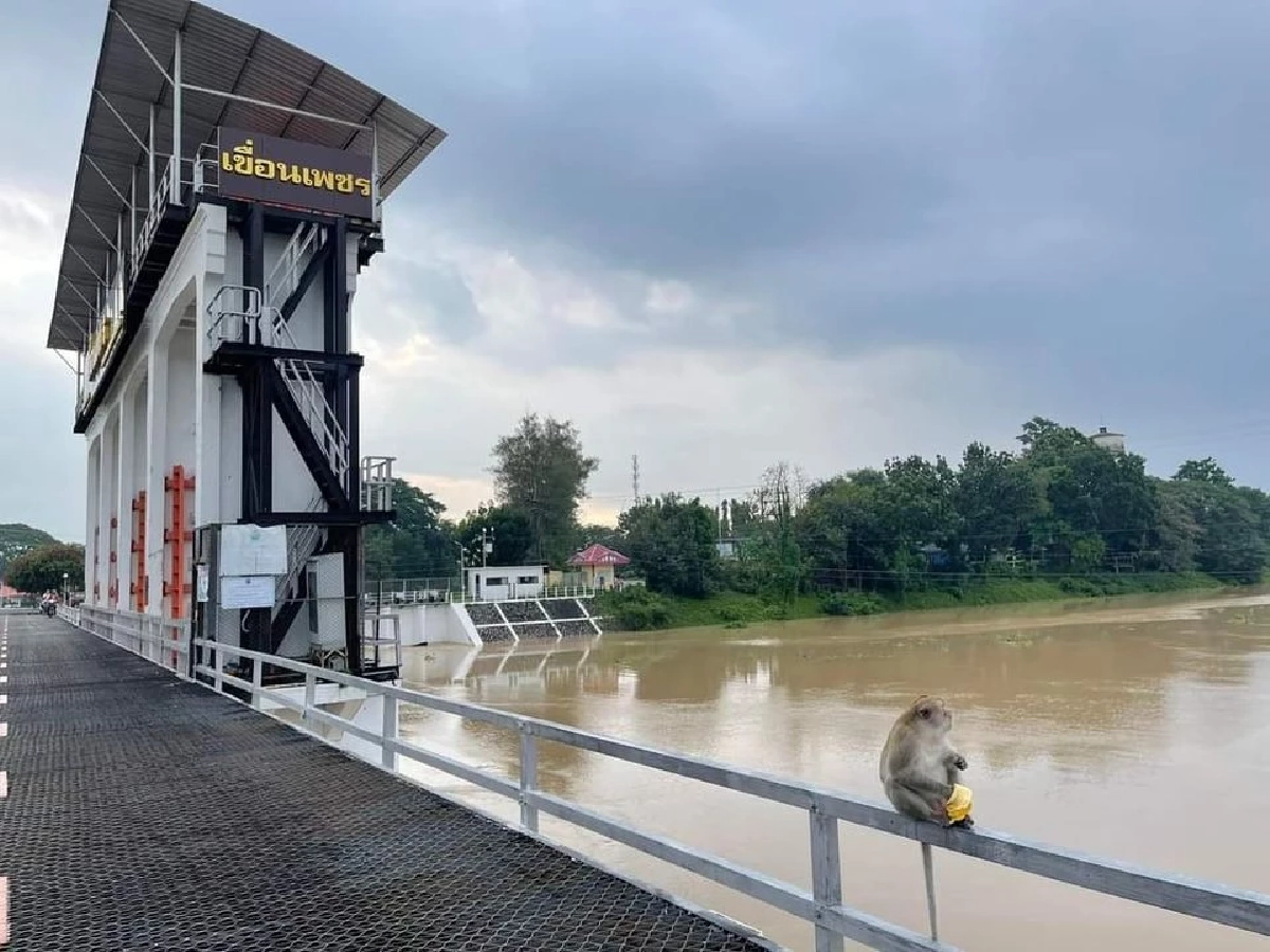 เขื่อนเพชรแจ้งเตือน เพิ่มการระบายน้ำลงแม่น้ำเพชรบุรีอีก