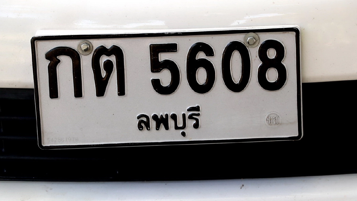 "เลขเด็ด1/11/64" คอหวยจับตาส่องเลข "เจ้าโทน" แมวแม่ตะเคียนชื่อดัง